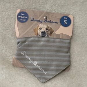 Tommy Bahama Striped Gray Dog Bandana & Collar